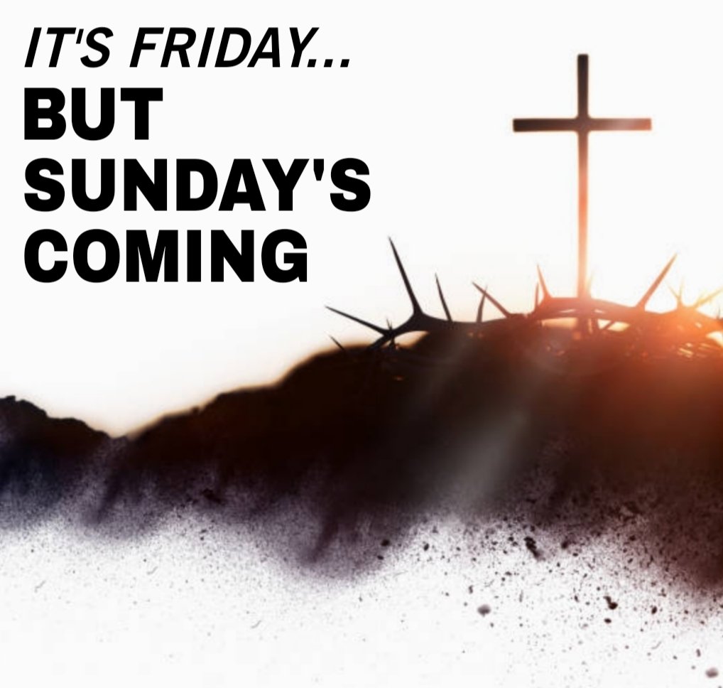 Technically Jeff tweet media