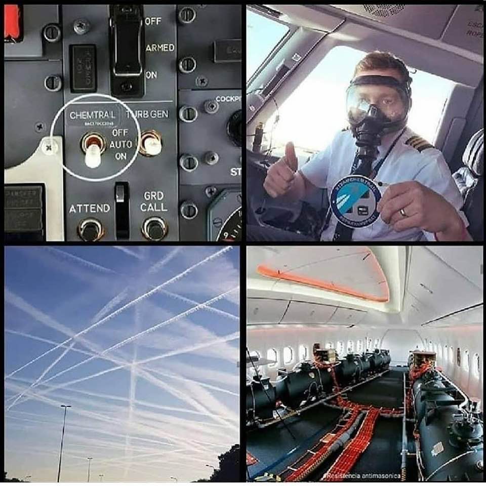 @TopListCreations tweet media