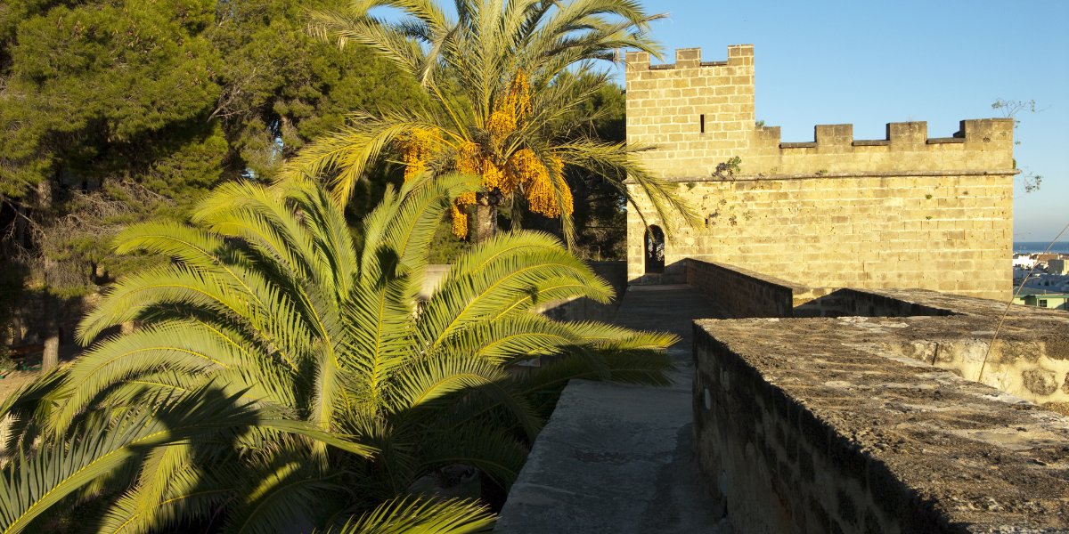 Region of Valencia tweet media