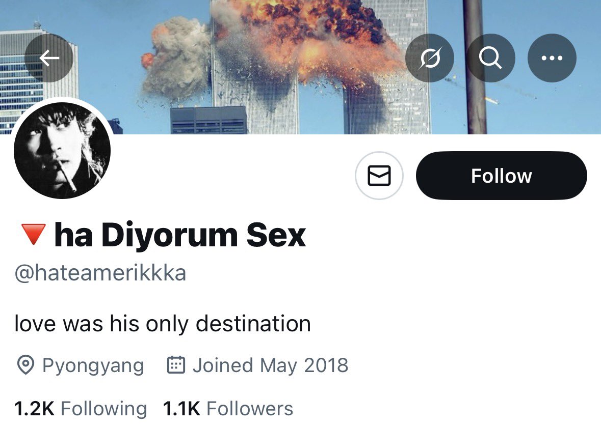 ijbol huppert tweet media