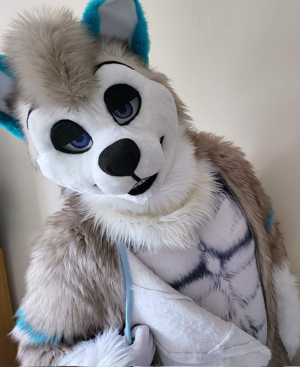 🌈 Lucky 🐺 tweet media