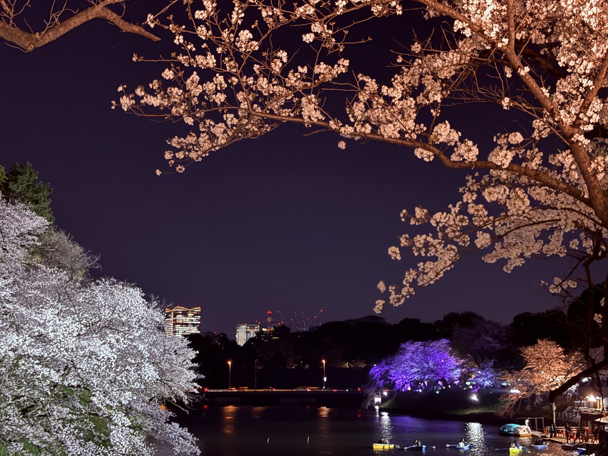 ゆき❄️ tweet media