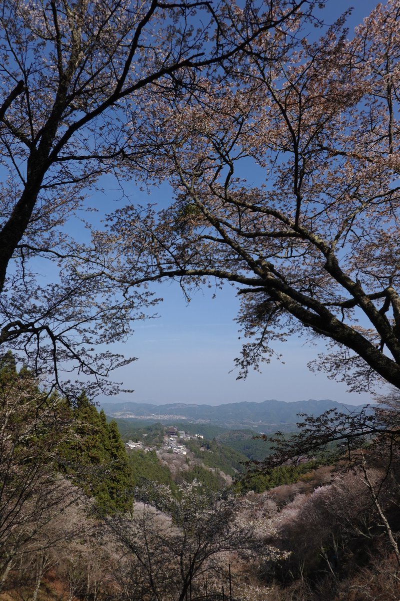 ミヤツカサケイ tweet media