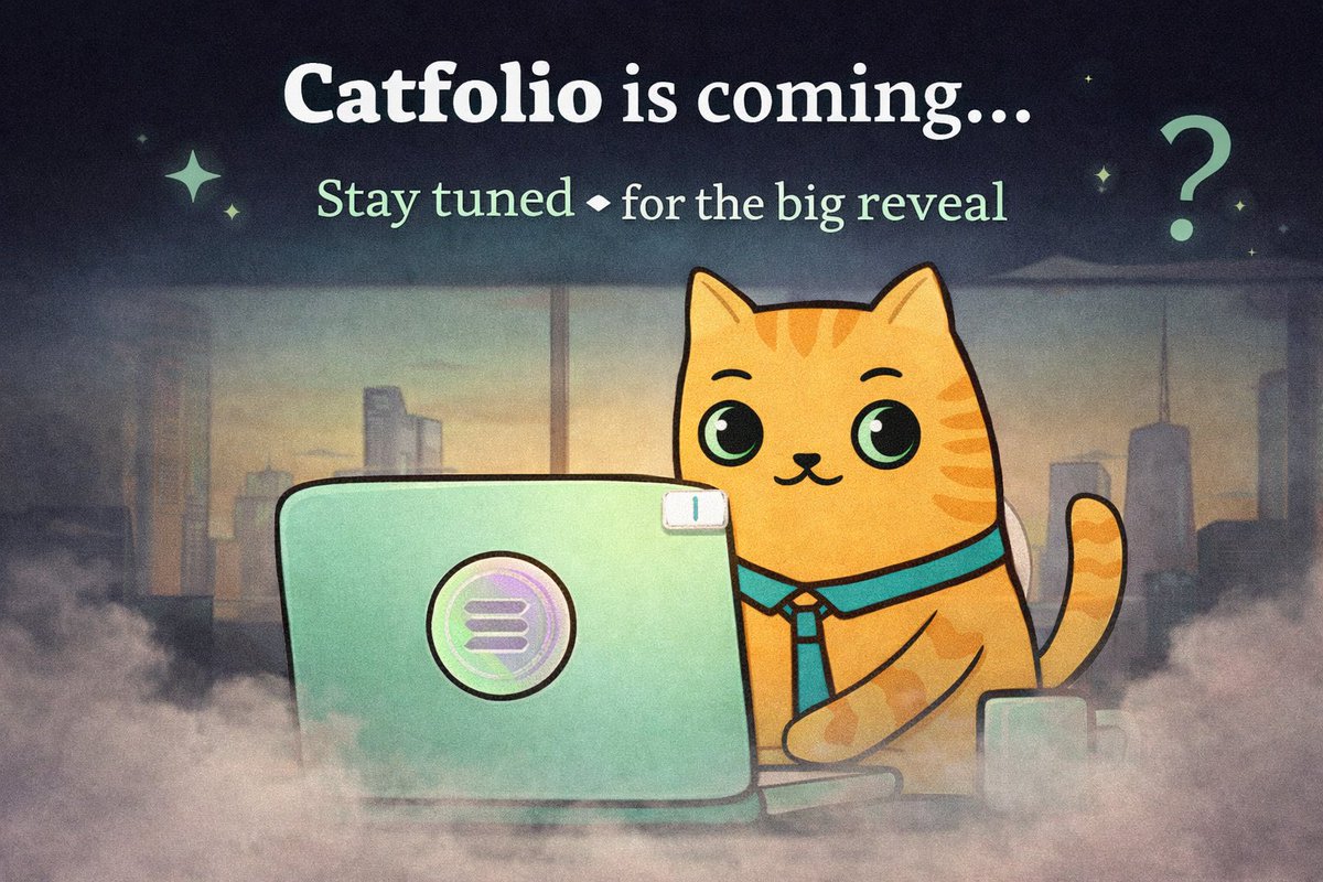 Catfolio tweet media