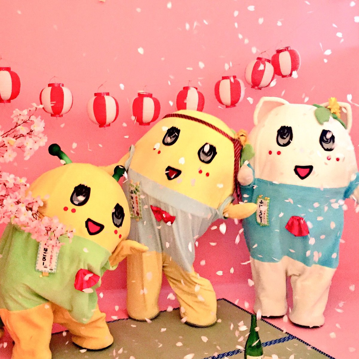 ふなっしー💙 tweet media