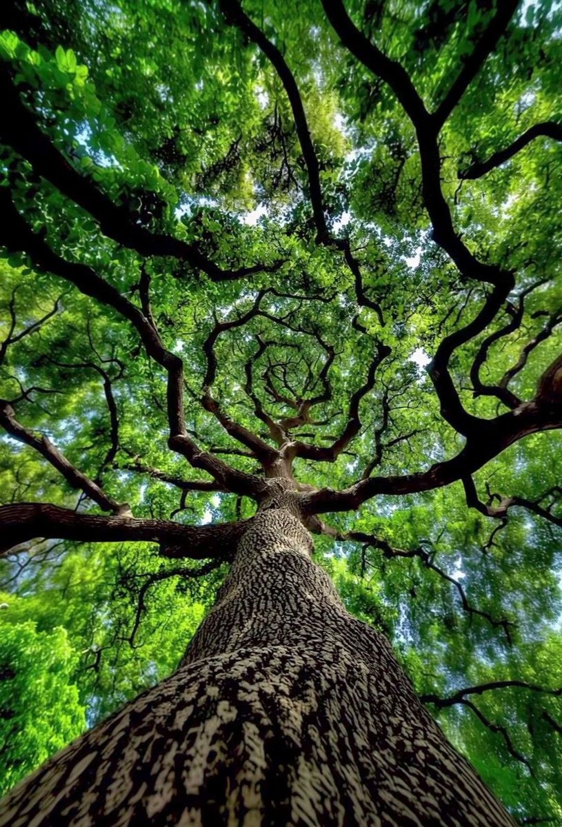 Lina M.  tweet media