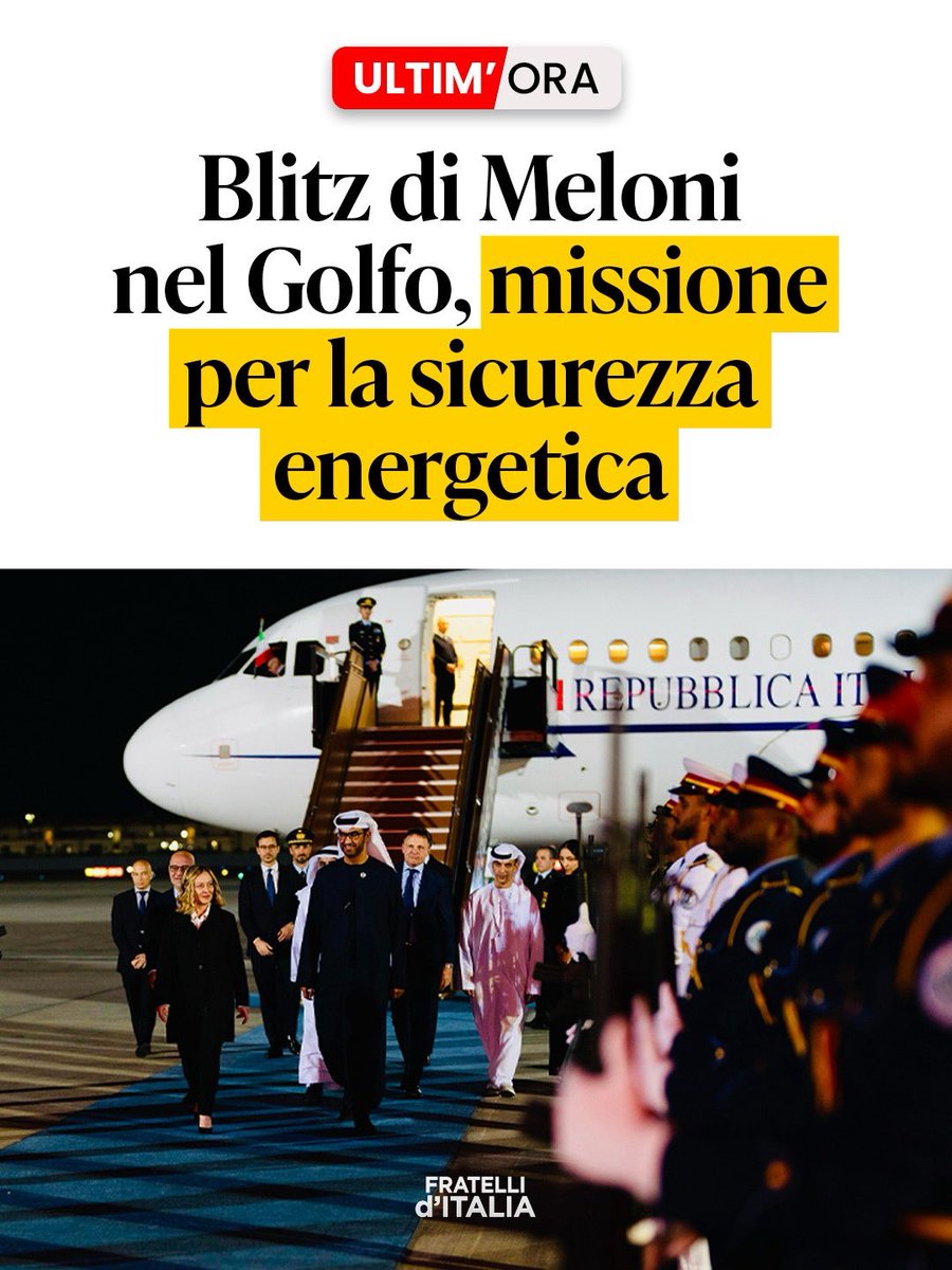 Fratelli d'Italia 🇮🇹 tweet media