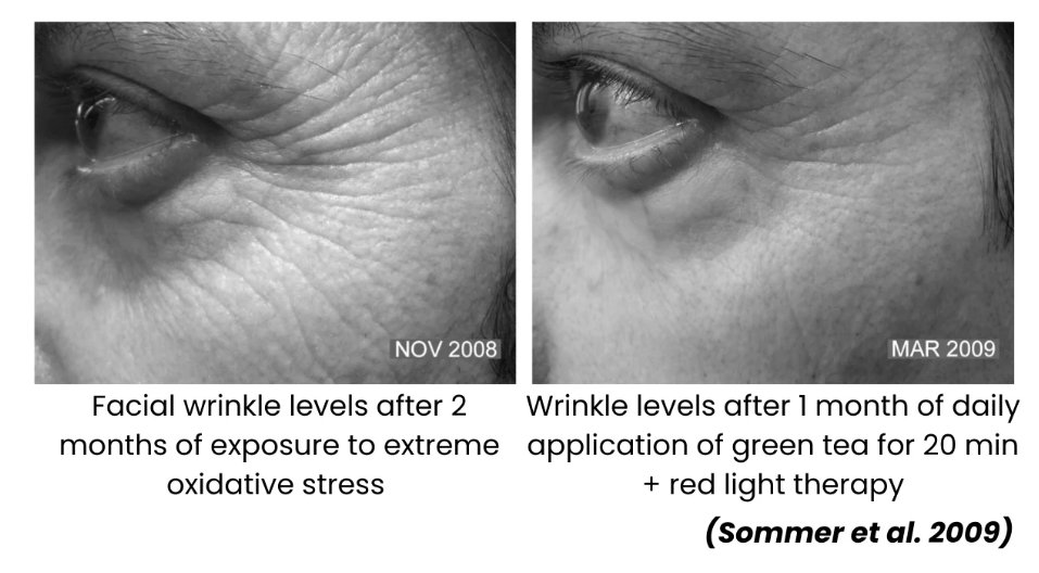 Ahmet Rasim Küçükusta tweet media