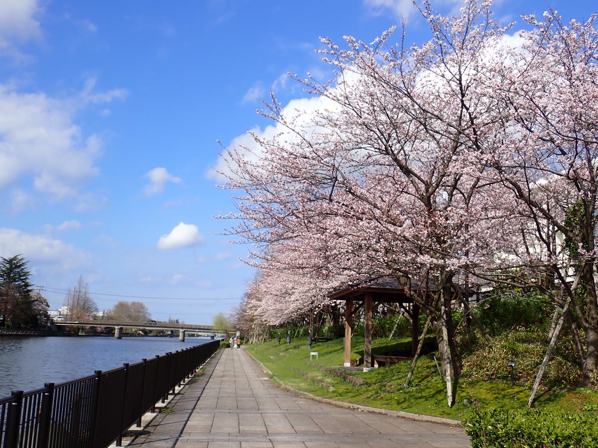 Sho Sasaki tweet media