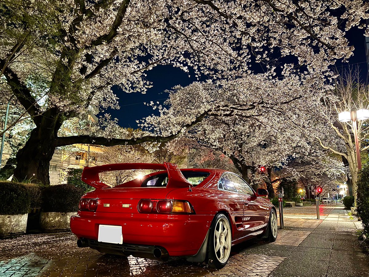 Z1208M84FS's tweet photo. #夜桜 #sw20 #mr2 #toyota 
🌸#桜と愛車🌸 https://t.co/oUDYGuzZwy