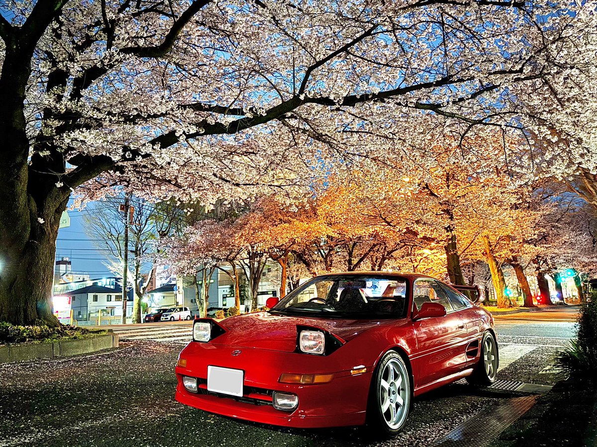 Z1208M84FS's tweet photo. #夜桜 #sw20 #mr2 #toyota 
🌸#桜と愛車🌸 https://t.co/oUDYGuzZwy