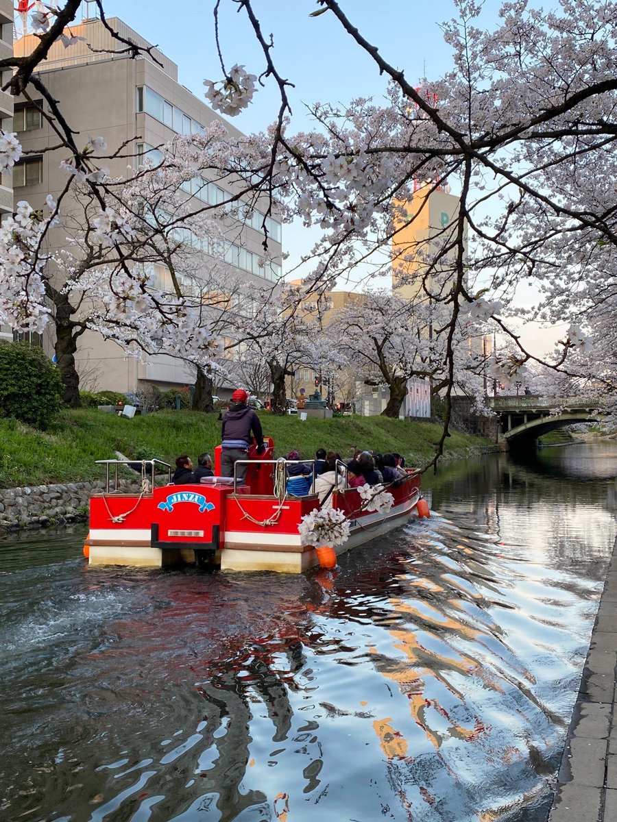 桜の松川べり散歩🌸その3
桜橋付近では何度も松川遊覧船をみつけては、手を振りかえしてました👋
#富山市 #とやまおでかけ日記 
instagram.com/p/DWq-0jskZG-/…