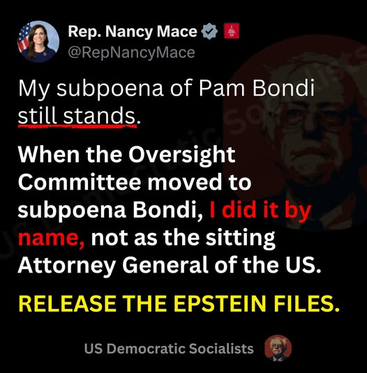 dave lawrence 🐟🐟🐠 tweet media