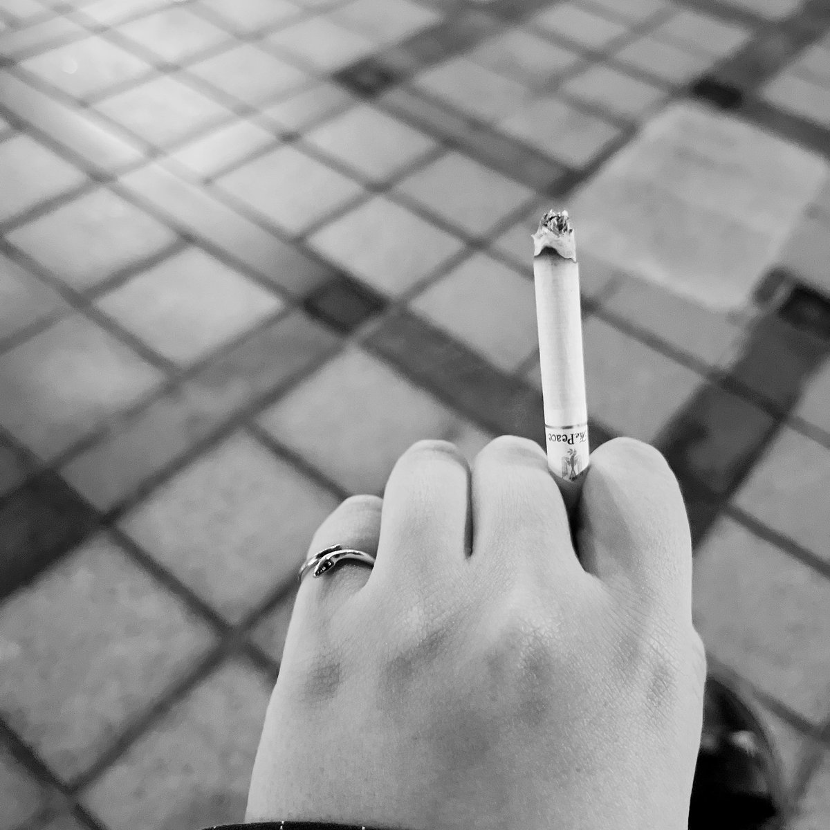 よんぴ tweet media