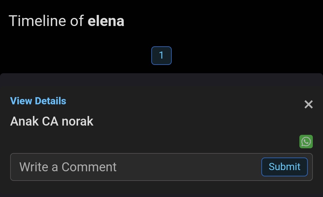 elena tweet media