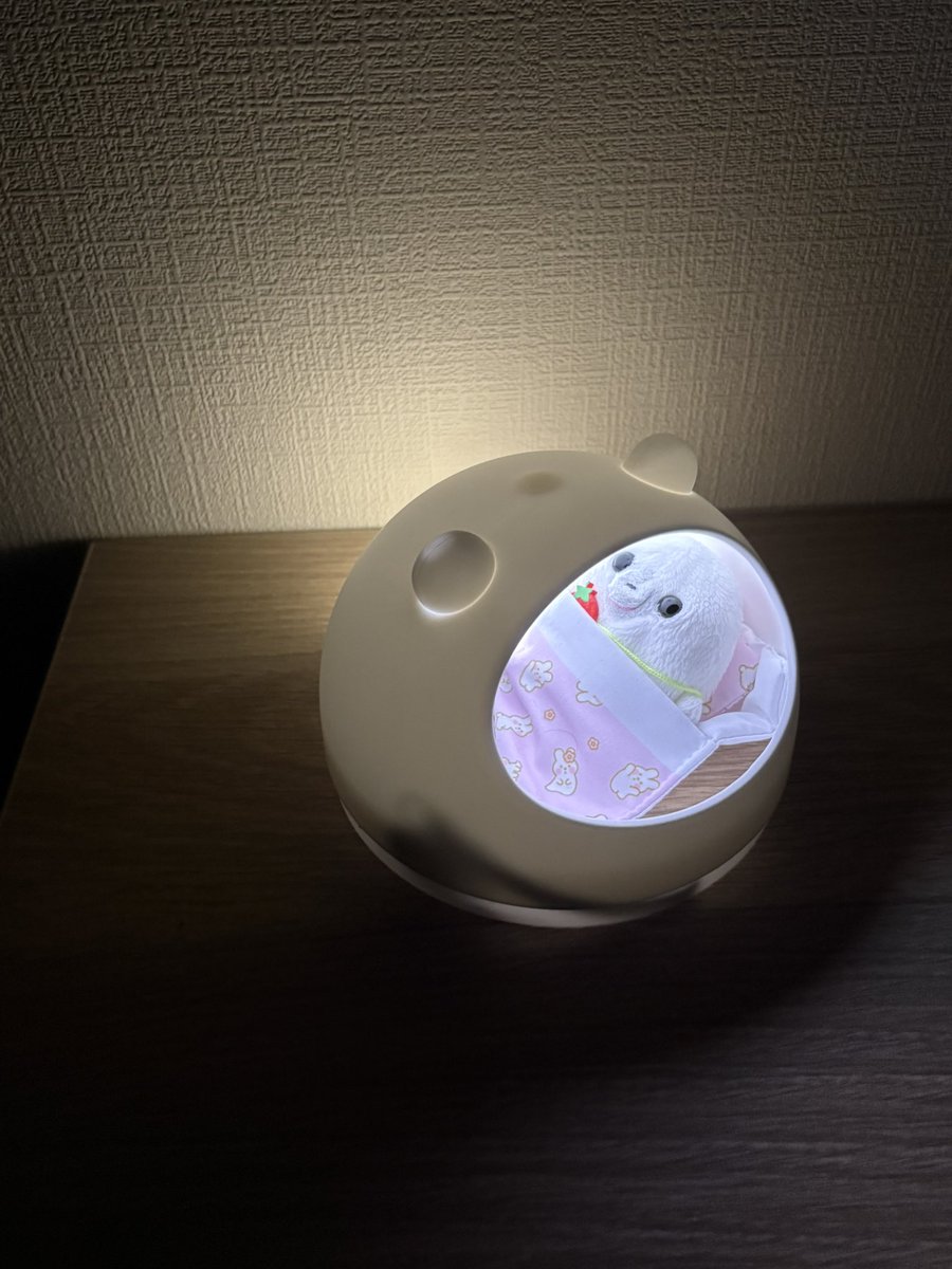 ロンちゃん tweet media