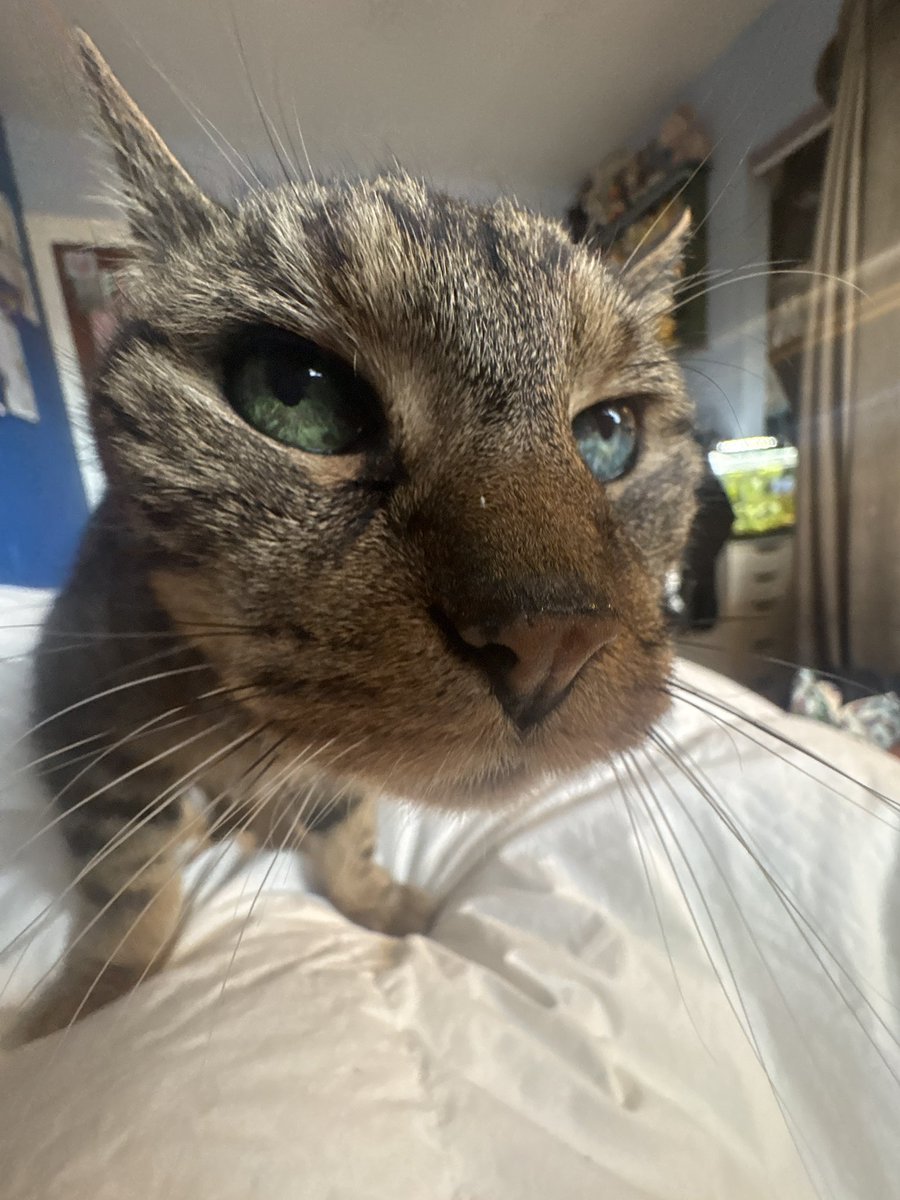 Providence #20 tweet media