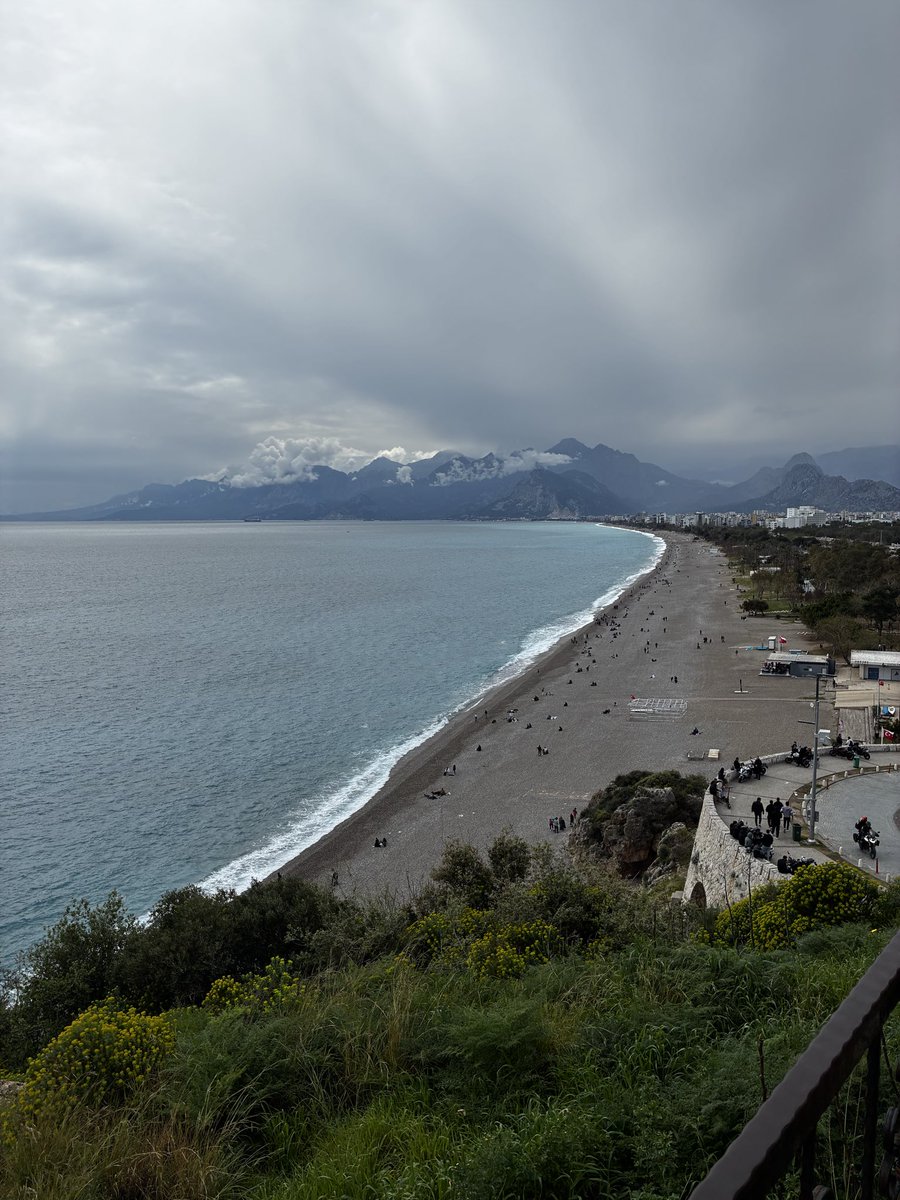 Enis Arik tweet media