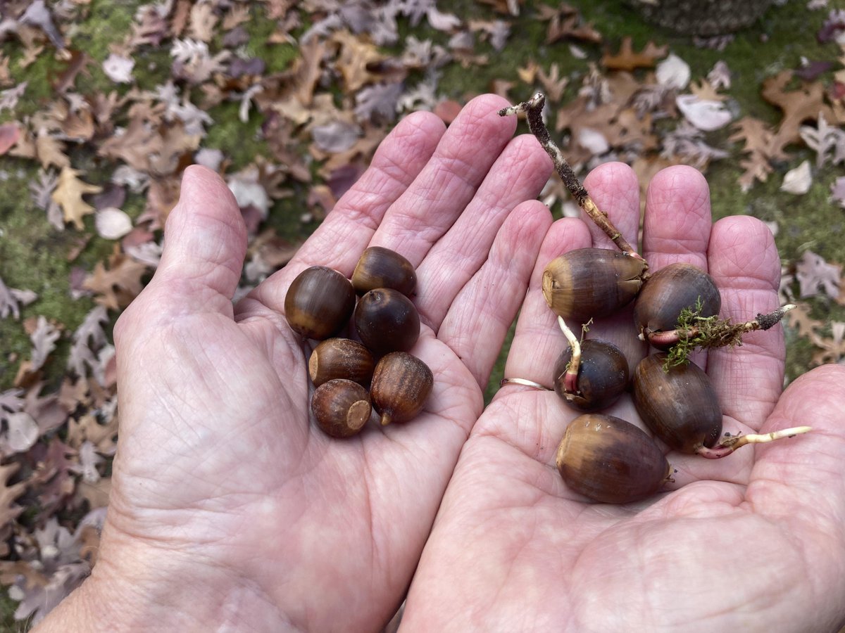 Give A Shit About Nature tweet media
