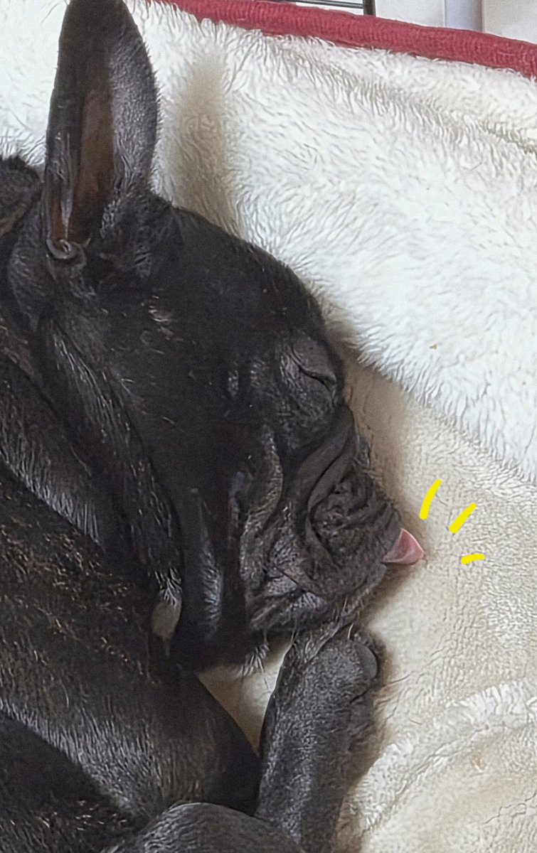 山代カゲツ趣味用 tweet media