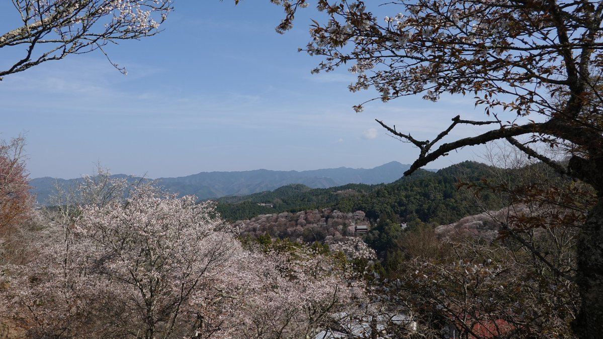 ミヤツカサケイ tweet media