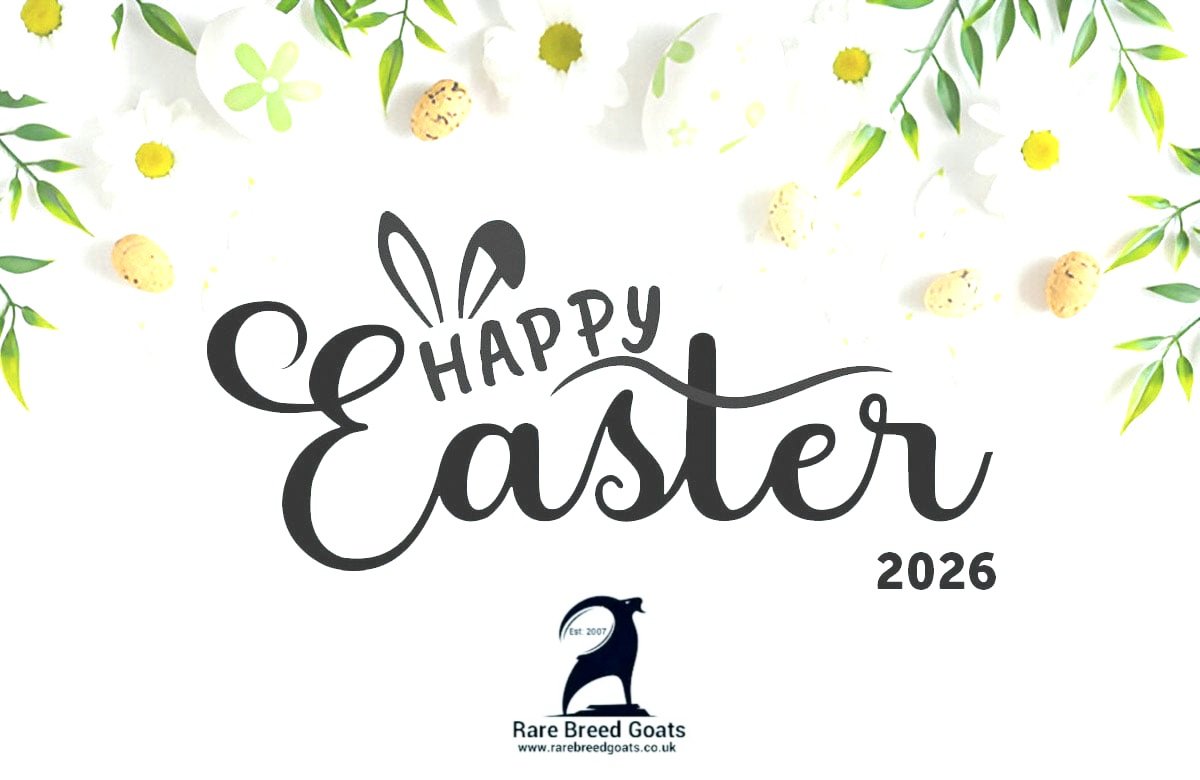 RareBreedGoats's tweet photo. Happy Easter 🐰🌸

From all of us at Rare Breed Goats we wish you and your loved ones a beautiful Easter full of love, togetherness, and joyful moments.

#rarebreedgoats
#HappyEaster #EasterBlessing https://t.co/rsXNNwm87p