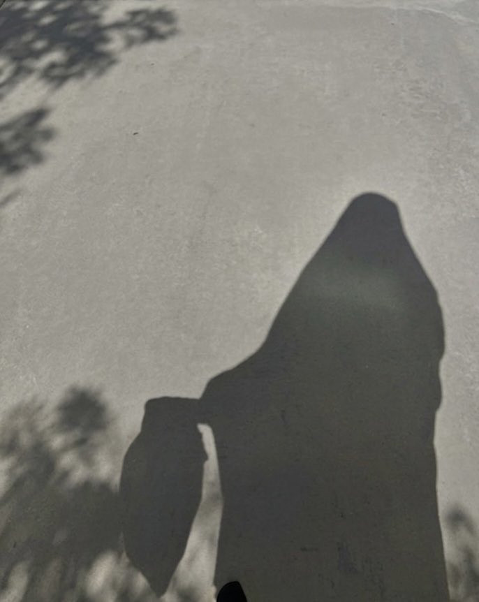 لهَف tweet media