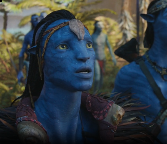 ni 🇧🇷 🇵🇸 .｡.:* studies era :( tweet media