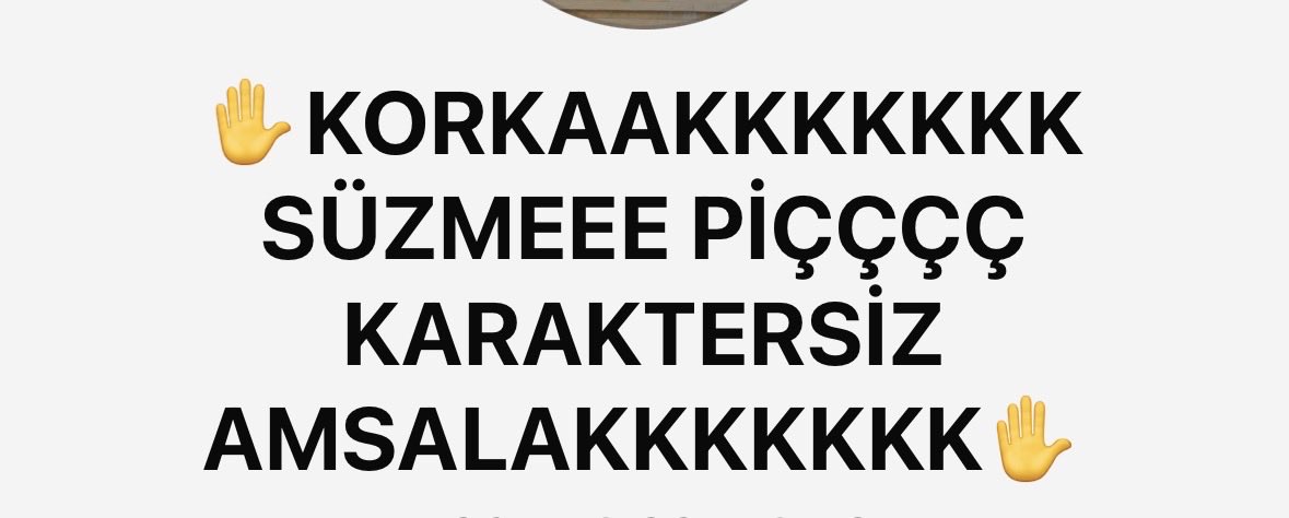 🇹🇷 tweet media