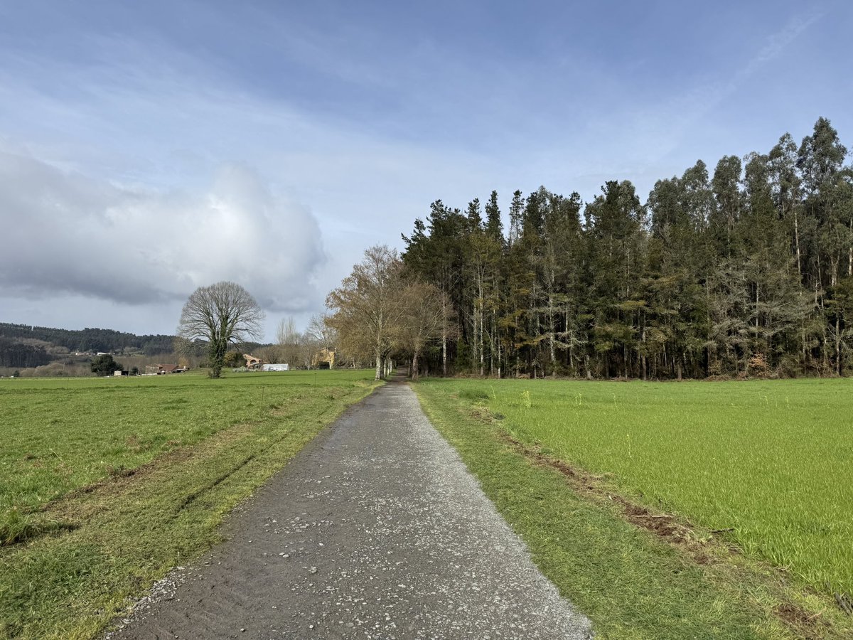 Mauricio Aguirre tweet media