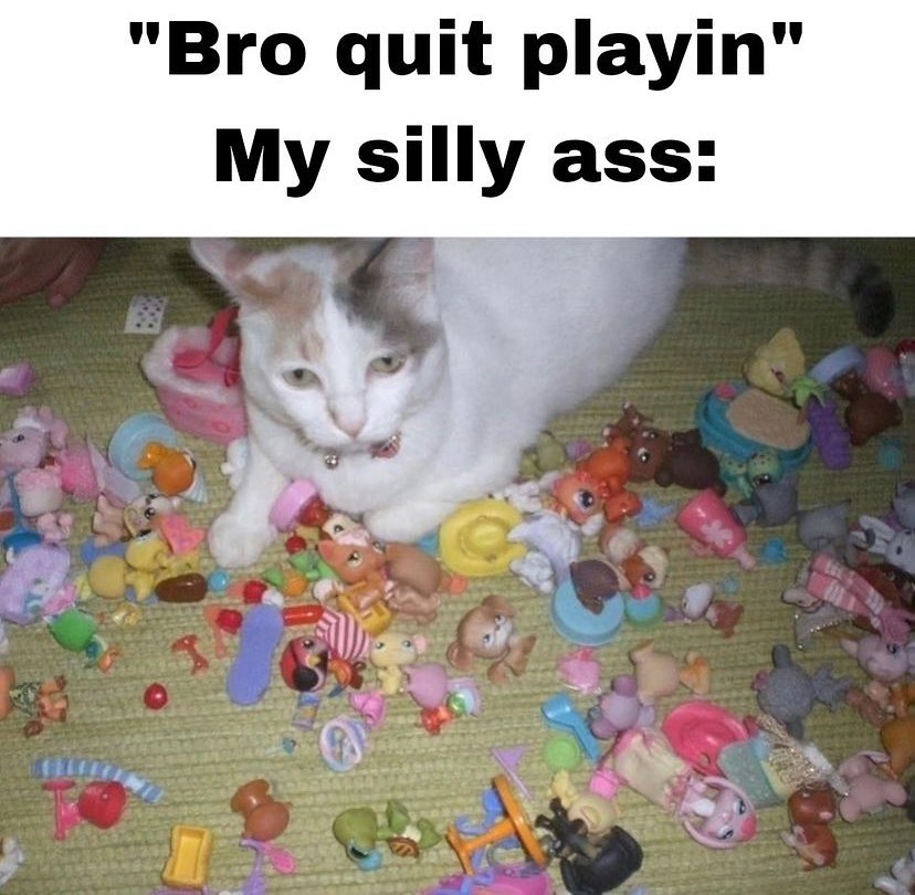 Punch Cat tweet media