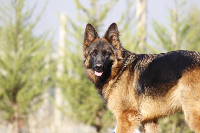 Ray Bollinger tweet media