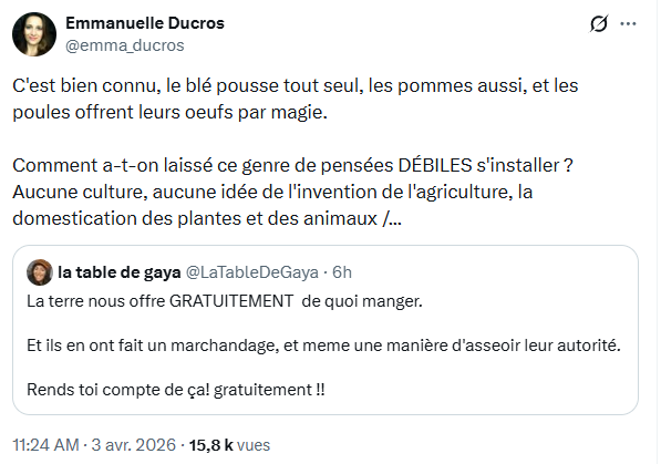 Lili Adresan🌺 tweet media