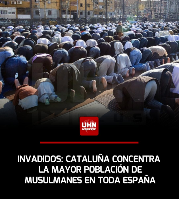 Gabriel Bracho Bosch tweet media