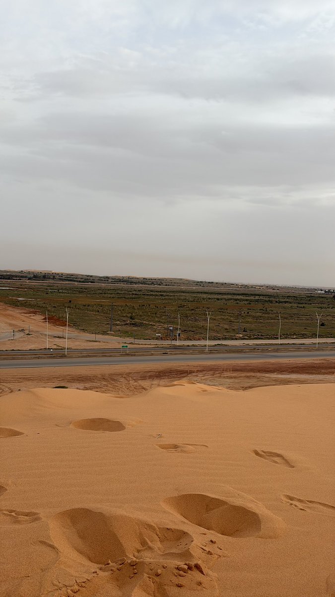 #Leao_out صالح tweet media