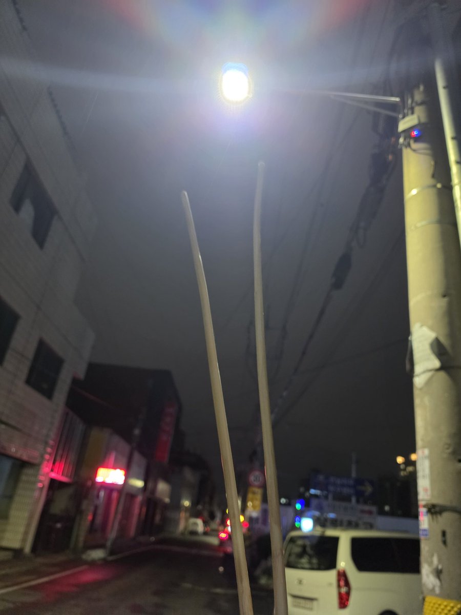 제비둥지 tweet media