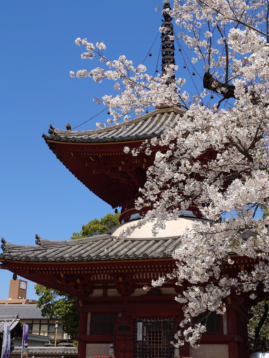 週末は春の嵐になりそうです🌀
花見の方はご注意を🌸