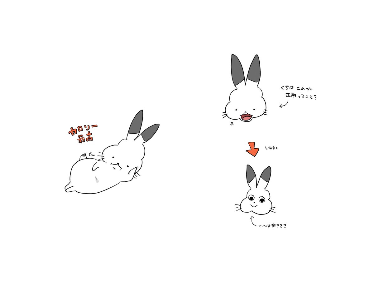 まぃも tweet media