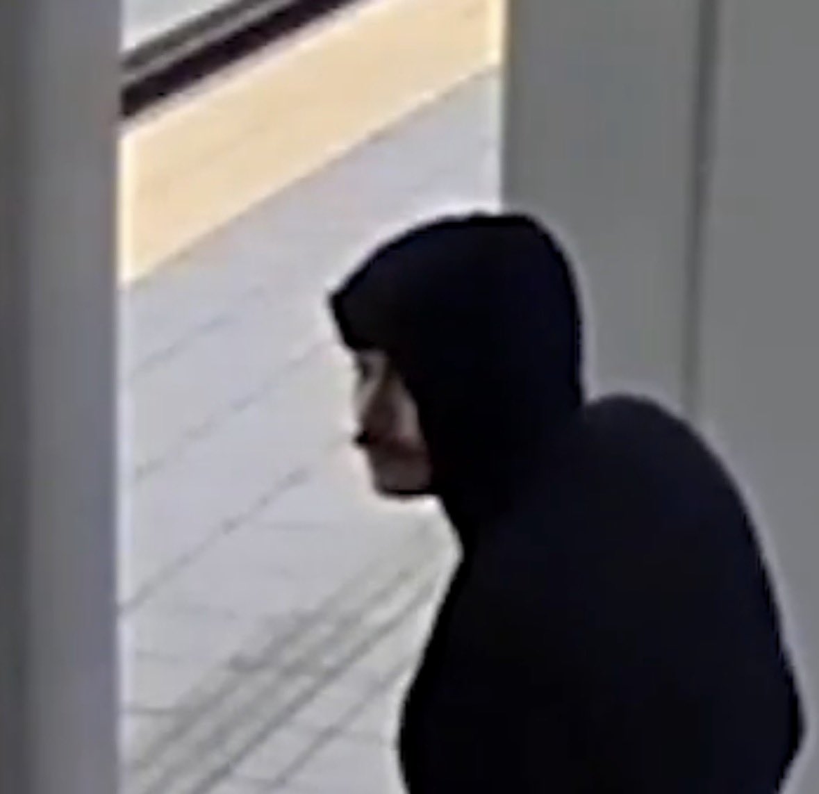 𝙴𝚒𝚗𝚊𝚛 𝙽. 𝙹𝚘𝚑𝚗𝚜𝚎𝚗 ☩ tweet media