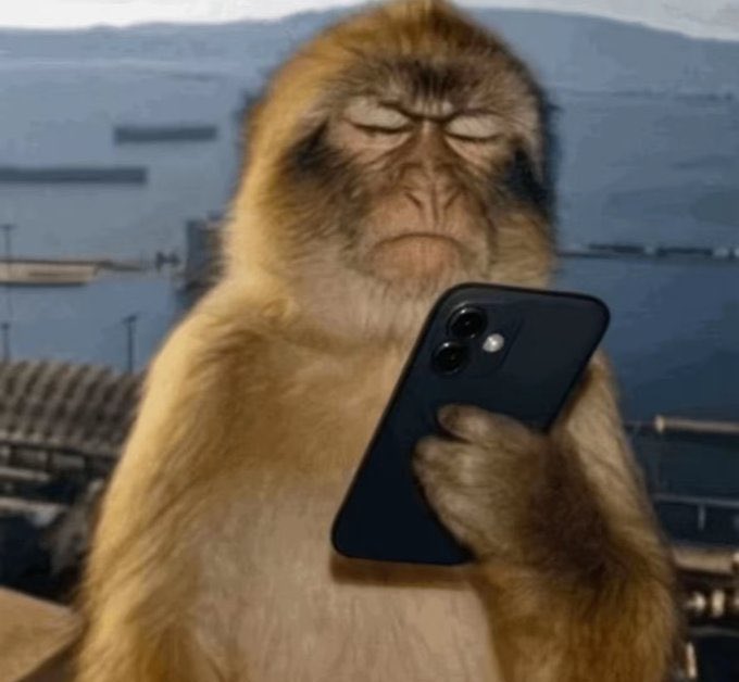 R¡ℓɘ¥.𝕋𝕋𝕂 tweet media