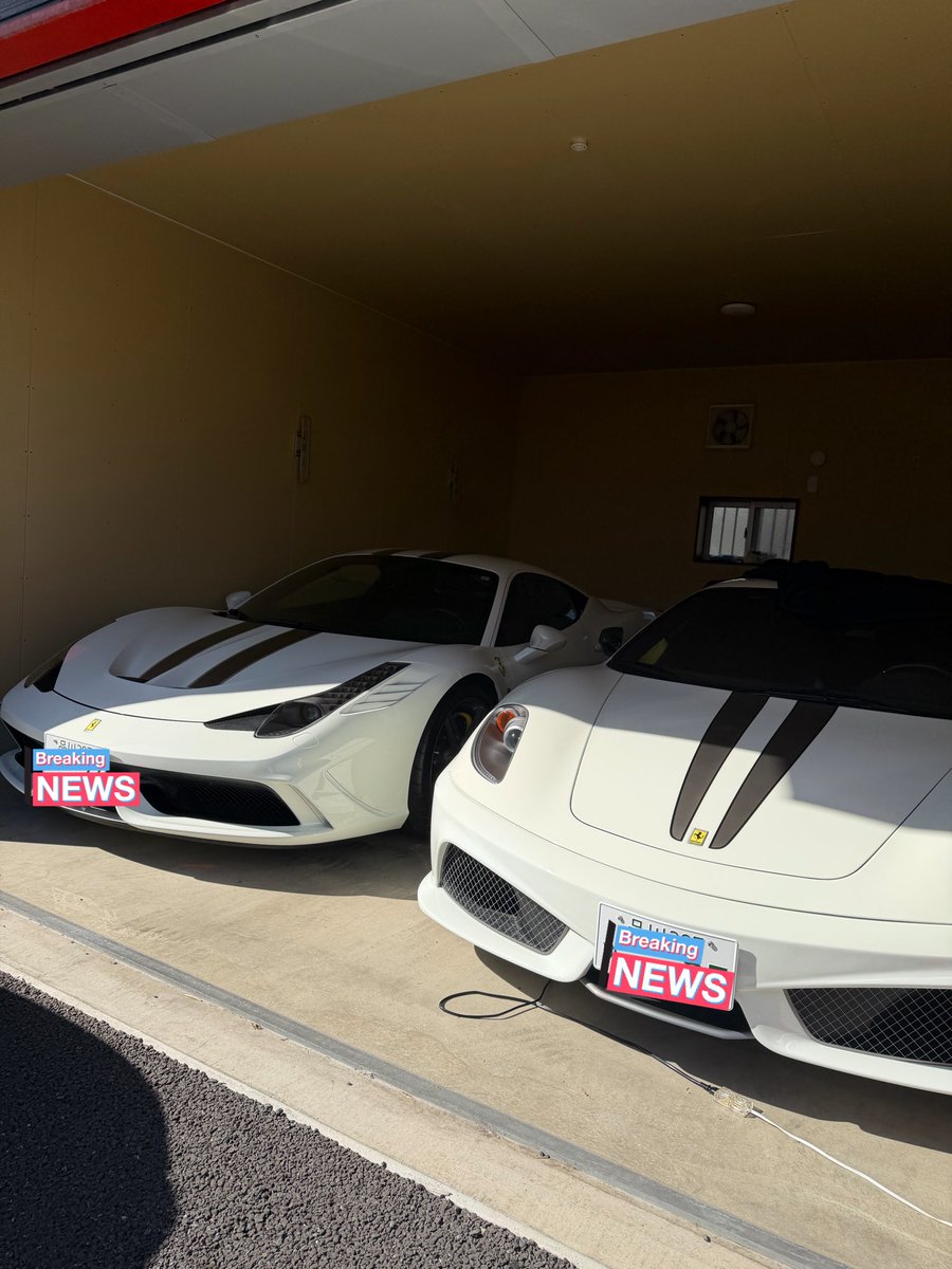 スナフキン tweet media