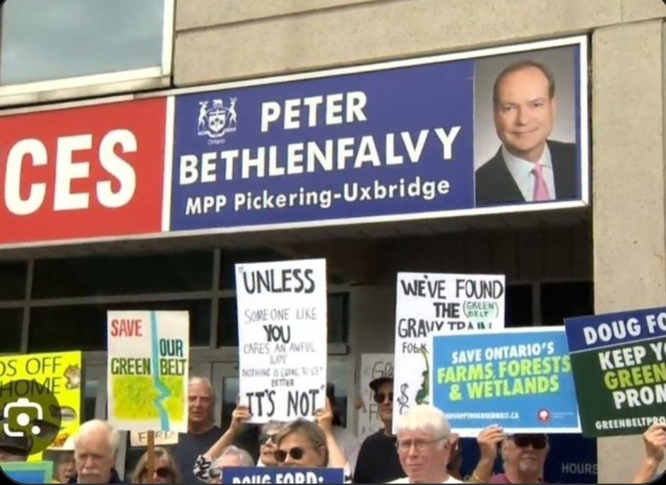 P.b.Freire tweet media