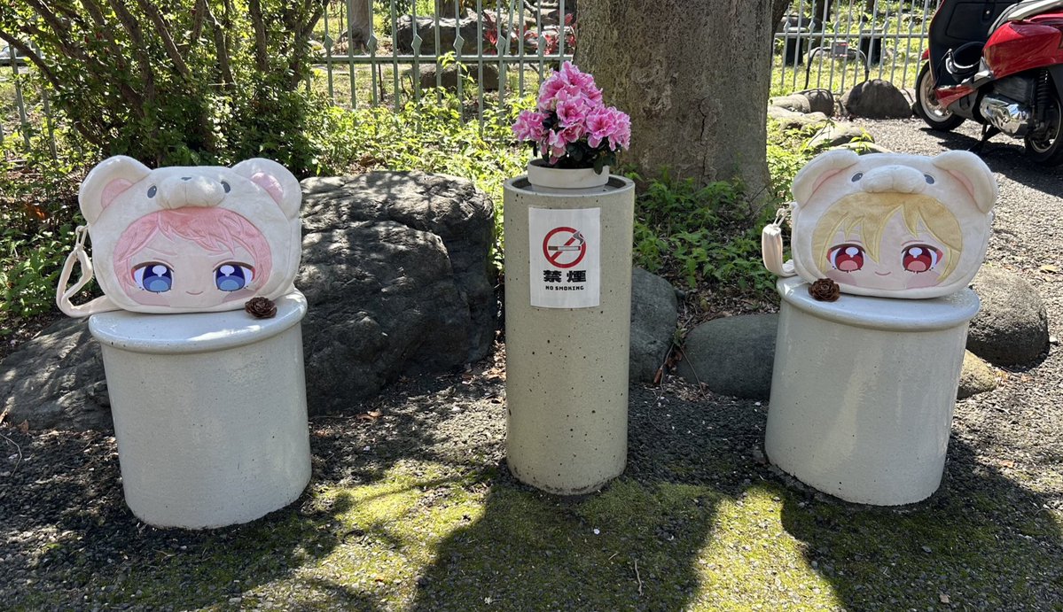 まきな tweet media