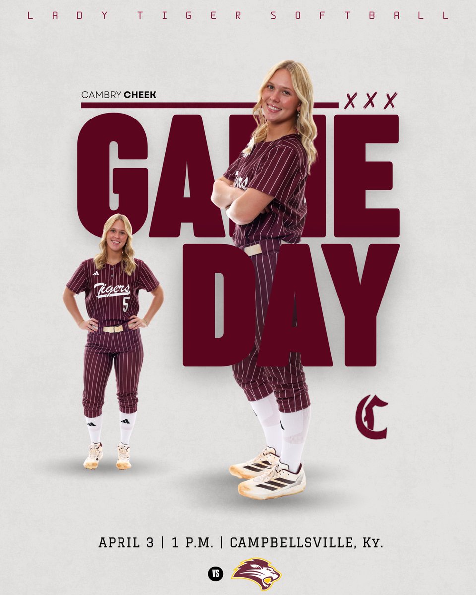 LadyTigerSoftball tweet media