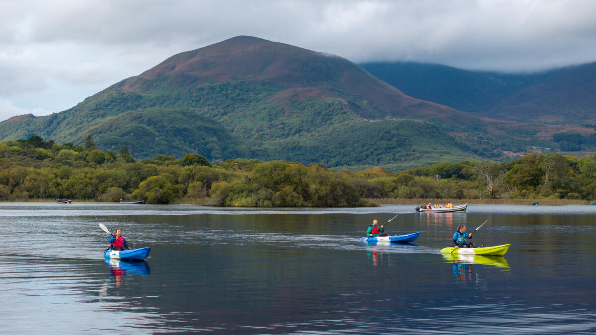 DestinationKillarney tweet media