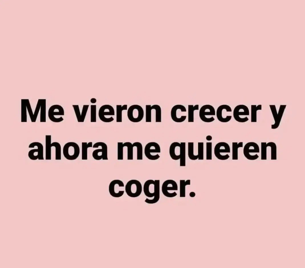 Liz Robles 🇲🇽 tweet media
