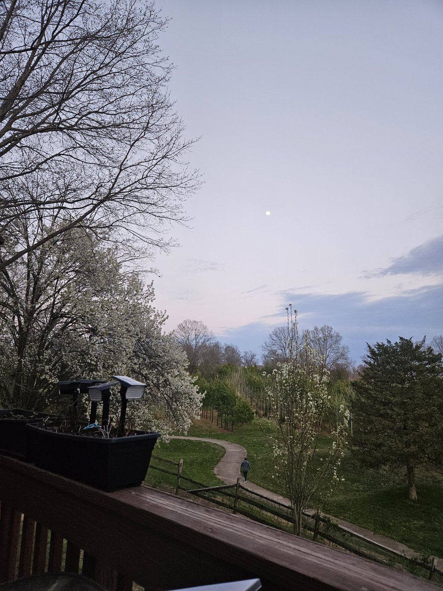 مُکھو جٹی tweet media