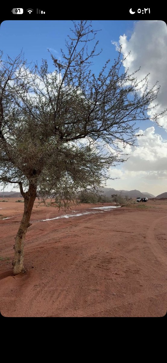 سُبحان الله🇸🇦نبراس الاسلم tweet media