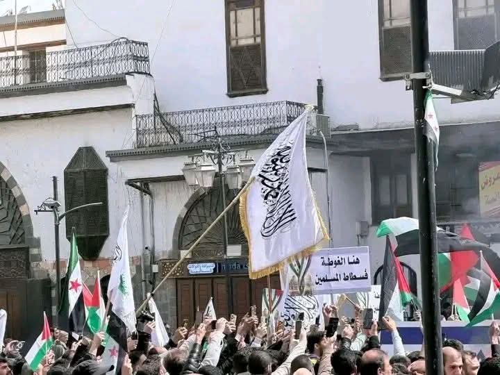 سجى الدالي tweet media