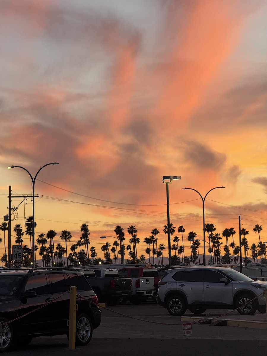 Jazz Fatal tweet media